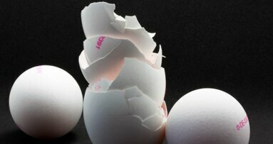 Eierschalen kunnen bijdragen aan genezing tanden en botten