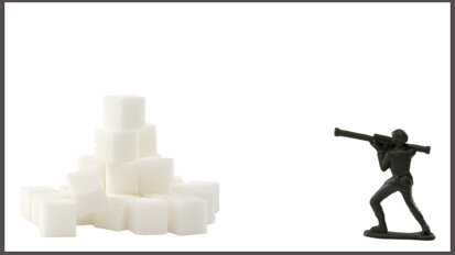 “The sugar wars: Rhetoric or reason?”—Experts debate the issue