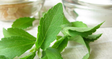 Süßungsmittel Stevia bald in Österreich erhältlich