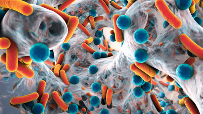 L’abuso di antibiotici e le resistenze batteriche: un fragile equilibrio