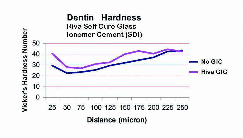 Fig. 4 : Les verres ionomères créent une couche dentinaire plus dure, enrichie en ions au niveau de la dentine adjacente à leur surface.
