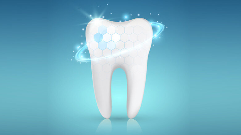Wissenschaftler entdecken Mechanismus zur Dentinregeneration