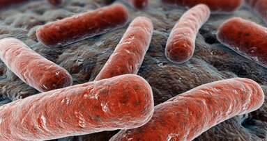 Bakterien haften stärker auf glatten Oberflächen