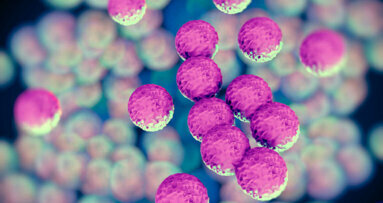 Eksperymentalna szczepionka może pomóc w zwalczaniu Staphylococcus aureus