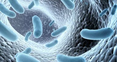 Bakterien täuschen Immunsystem mit Tarnkappe