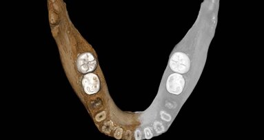 Mandible helps to uncover history of civilisations in Tibet