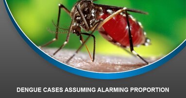 Dengue cases assuming alarming proportion