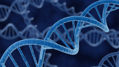 Ανθρώπινο DNA σε αρχαία τσίχλα 10.000 ετών