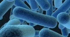 Oralne bakterije mogu biti odgovorne za infekcije koje se prenose hranom