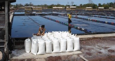 Fluoration du sel iodé au Laos