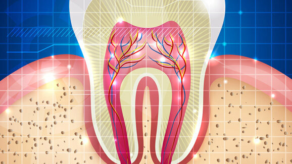 Zähne, die sich selber heilen
